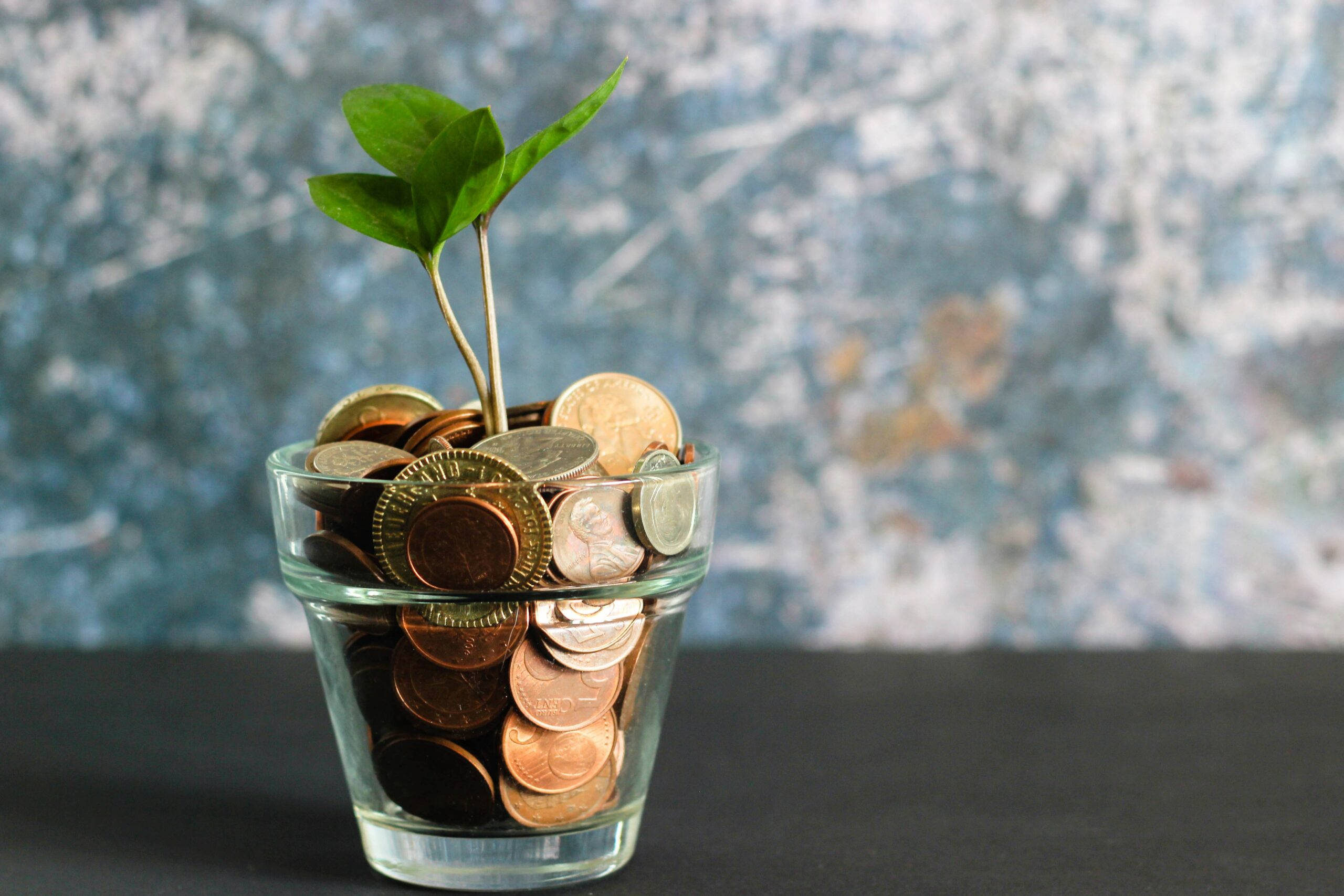 money plant growth finance loan