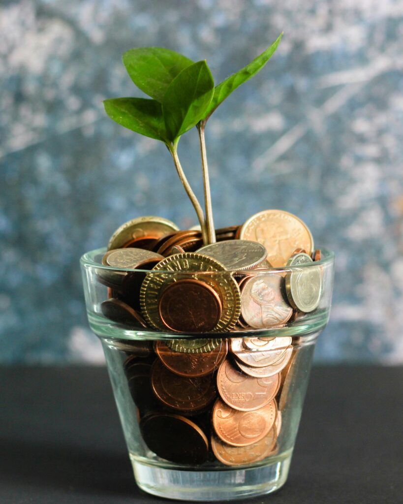 money profit coins jar plant